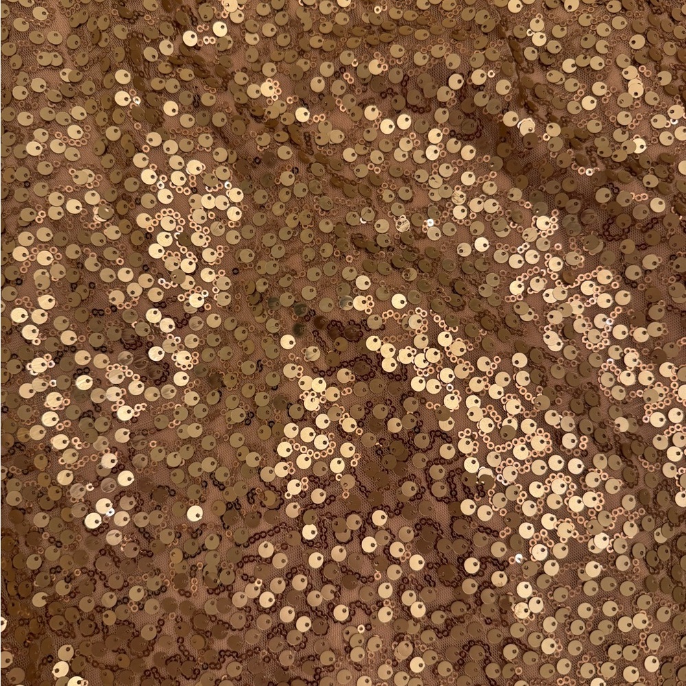 Vince Camuto Rose Gold Sequin Mini Dress
Stunning for any occasion. - Picture 11 of 14